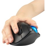 Kensington Pro Fit Ergo TB450 trackball Zwart/blauw
