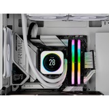 Corsair 32 GB DDR5-6000 Kit werkgeheugen Wit, CMH32GX5M2B6000C40W, Vengeance RGB, XMP 3.0