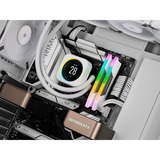 Corsair 32 GB DDR5-6000 Kit werkgeheugen Wit, CMH32GX5M2B6000C40W, Vengeance RGB, XMP 3.0