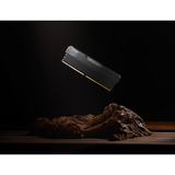 KLEVV 32 GB DDR5-6000 (2x 16 GB) Kit werkgeheugen Zwart, KD5AGUA80-60A300V, URBAN V RGB, XMP 3.0, EXPO