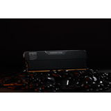 KLEVV URBAN V RGB 32 GB DDR5-6000 (2x 16 GB) werkgeheugen Zwart, KD5AGUA80-60A300V, XMP 3.0, EXPO