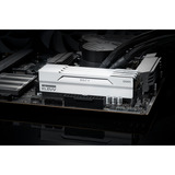 KLEVV 64 GB DDR5-6000 (2x 32 GB) Kit werkgeheugen Wit, KD5BGUA80-60A300I, BOLT V, XMP 3.0, EXPO