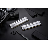 KLEVV 64 GB DDR5-6000 (2x 32 GB) Kit werkgeheugen Wit, KD5BGUA80-60A300I, BOLT V, XMP 3.0, EXPO
