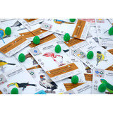 999 Games Wingspan: Midden- en Zuid-Amerika Bordspel Uitbreiding, Nederlands, 1 - 5 spelers, 40 - 70 minuten, Vanaf 10 jaar