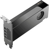 NVIDIA® RTX PRO 2000 Blackwell grafische kaart GDDR7 ECC, 4x Mini-DisplayPort, Bulk