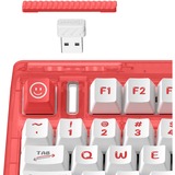 Iqunix OG80 Joy Vendor Wireless Mechanical Keyboard, gaming toetsenbord Rood/wit, US lay-out, IQUNIX Moonstone, RGB leds, 80% (TKL), Hot-swappable, PBT, 2.4GHz | Bluetooth 5.1 | USB-C