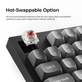 Keychron K10 Max-H14 RGB mechanisch toetsenbord Zwart, US lay-out (QWERTY), 100%, RGB leds, OSA Double-shot PBT, hot swap, USB-C | 2.4 GHz | Bluetooth 5.1