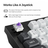 Keychron Q5 HE QMK Wireless Custom Keyboard, toetsenbord Zwart/wit, US lay-out, Gateron Double-Rail Magnetic Nebula, RGB leds, 96%, OSA double-shot PBT, hot swap, Knob, 2.4GHz | Bluetooth 5.1 | USB-C