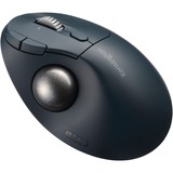 Kensington Pro Fit Ergo TB450 trackball Zwart/blauw