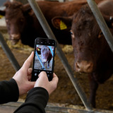 JCB Toughphone E10 Zwart, 6.6" HD, 8 GB RAM, 64 GB ROM