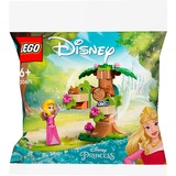 LEGO Disney - Aurora’s speelplek in het bos Constructiespeelgoed 30671