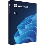 Microsoft Windows 11 Professional (Engelstalig) software Engels