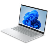 HP OmniBook 3 17-dp0003ndx (E70HGEA) 17.3"  laptop Zilver | Ryzen 3 30 | Radeon 610M | 8 GB | 256 GB SSD