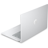 HP OmniBook 3 17-dp0003ndx (E70HGEA) 17.3"  laptop Zilver | Ryzen 3 30 | Radeon 610M | 8 GB | 256 GB SSD