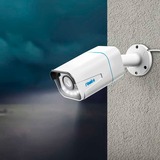 Reolink P430 beveiligingscamera Wit