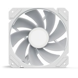 Sharkoon SHARK Mirror RGB PWM Reverse case fan Wit, 120 x 120 x 25 mm