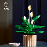 LEGO LEGO 11504 Botanicals TBA Constructiespeelgoed 