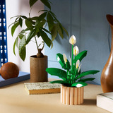 LEGO LEGO 11504 Botanicals TBA Constructiespeelgoed 