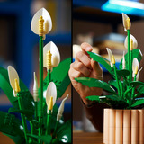 LEGO LEGO 11504 Botanicals TBA Constructiespeelgoed 