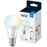 WiZ Lamp A60 E27 ledlamp Wifi + Bluetooth protocol