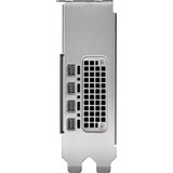 NVIDIA® RTX 2000 Ada 16 GB grafische kaart 4x Mini DisplayPort, Bulk
