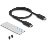 DeLOCK Externe M.2 NVMe SSD gaming behuizing USB-C 40 Gbps met RGB externe behuizing Grijs, met ventilator