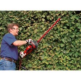 EINHELL Heggenschaar GC-EH 6055/1 Rood/zwart, 600W