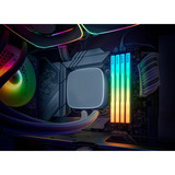 KLEVV 32 GB DDR5-6000 (2x 16 GB) Kit werkgeheugen Wit, KD5AGU880-60A300J, CRAS V RGB, XMP 3.0, EXPO