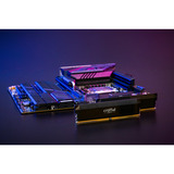 Crucial PRO OC 32 GB DDR5-6000 (2x 16 GB) werkgeheugen Zwart, CP2K16G60C36U5B, XMP 3.0, EXPO