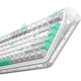 Iqunix OG80 Wormhole Wireless Mechanical Keyboard Grijs, US lay-out (QWERTY), Cherry MX Red, 80% (TKL)	, RGB leds, Hot-swappable, PBT, 2.4GHz | Bluetooth 5.1 | USB-C