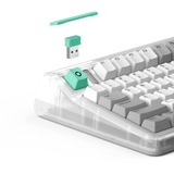 Iqunix OG80 Wormhole Wireless Mechanical Keyboard, gaming toetsenbord Grijs/groen, US lay-out, Cherry MX Red, RGB leds, 80% (TKL), Hot-swappable, PBT, 2.4GHz | Bluetooth 5.1 | USB-C