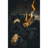 The Windmill Premium South African Black Wattle Houtskool 6 Kg