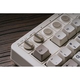 8BitDo Retro Mechanical Keyboard M Edition Grijs, US lay-out (QWERTY), Kailh Box White, 80% (TKL)	, Bluetooth Low Energy, Wireless 2.4G, USB