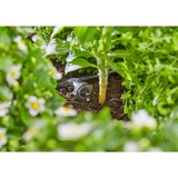 GARDENA Seriedruppelaar 2 l/u, drukcompenserend druppelaar Donkergrijs, 10 stuks