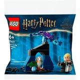 LEGO Harry Potter - Draco in het Verboden Bos Constructiespeelgoed 30677