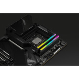 KLEVV CRAS V RGB 64 GB DDR5-6000 (2x 32 GB) werkgeheugen Zwart, KD5BGUA80-60A300G, XMP, EXPO