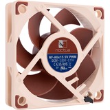 NF-A6x15 5V PWM case fan