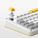 Iqunix ZX75 Gravity Wave Wireless Mechanical Keyboard Grijs, US lay-out (QWERTY), Gateron Red, 75%, RGB leds, Hot-swappable, Double-shot PBT, 2.4GHz | Bluetooth 5.1 | USB-C