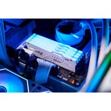 Kingston FURY 16 GB DDR5-5600 werkgeheugen Wit, KF556C36BWEA-16, Renegade RGB, EXPO