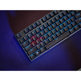 Trust GXT 864 Cada Compact mechanisch TKL-gamingtoetsenbord, gaming toetsenbord Zwart, US lay-out, Huano Brown, RGB