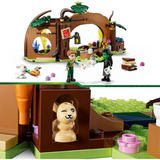 LEGO Wicked - Elphaba's schuilhut Constructiespeelgoed 75687