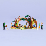 LEGO Wicked - Elphaba's schuilhut Constructiespeelgoed 75687