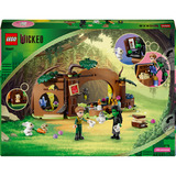 LEGO Wicked - Elphaba's schuilhut Constructiespeelgoed 75687
