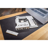 Crucial 32 GB DDR5-6000 (2x 16 GB) Dual-Kit werkgeheugen Wit, CP2K16G60C36U5W, XMP 3.0, EXPO