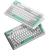 Iqunix OG80 Wormhole Wireless Mechanical Keyboard Grijs, US lay-out (QWERTY), IQUNIX Moonstone, 80% (TKL)	, RGB leds, Hot-swappable, PBT, 2.4GHz | Bluetooth 5.1 | USB-C