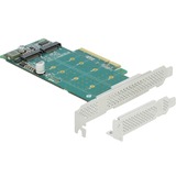 DeLOCK PCI Express x8 Card naar 2x internal NVMe M.2 Key M - Bifurcation controller 