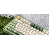 Iqunix ZX75 Camping Wireless Mechanical Keyboard Groen, US lay-out (QWERTY), Cherry MX Silent Red, 75%, RGB leds, Hot-swappable, Double-shot PBT, 2.4GHz | Bluetooth 5.1 | USB-C