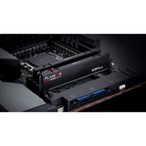 G.Skill Flare X5 64 GB DDR5-6000 (2x 32 GB) werkgeheugen Zwart, F5-6000J3040G32GX2-FX5, EXPO
