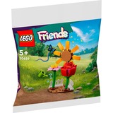 Friends - Bloementuin Constructiespeelgoed