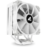 Sharkoon A50 RGB cpu-koeler Wit, 4-pins PWM fan-connector
